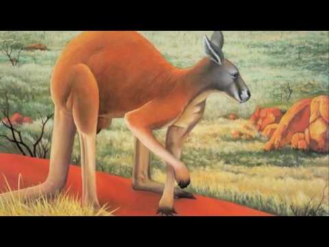 動物狂歡節-《袋鼠》Saint Saens: Carnival of the Animals~Kangourous (Kangaroos) - YouTube