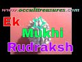 rudraksha or rudraksh Magic Video