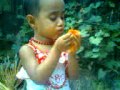 Mamooooonia.2