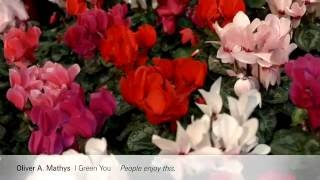Vorschau: Christmasworld 2016 – Statements of exhibitors about Floradecora