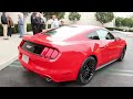 NEW 2015 Ford Mustang START-UP + REVS!!