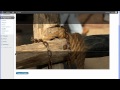 WordPress Header