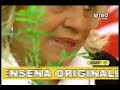 Tenga dos plantas en la entrada de la casa
