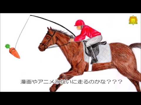 馬の目の前にニンジンをぶらさげてみた よこはまのどうぶつえん Channel Open Yokohama