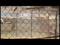 Welcome to the zoo (Morocco Rabat) مرحباً بكم في الحديقة الوطنية