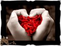 Ave ruseya na kar meri jan sajna.. www.lalgarhjattan.com