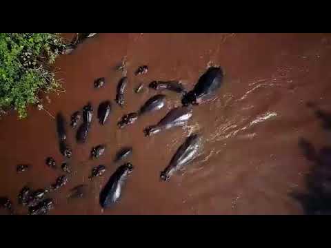 Visit Uganda with Ngoni Safaris Uganda Ltd