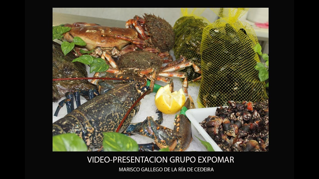 Video de empresa de Marisco Cedeira- Expomar