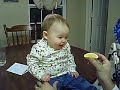 Baby Eats a Sour Lemon