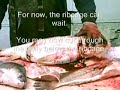 How to Clean a Common Carp