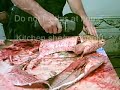 How to Clean a Common Carp