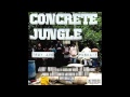 Troy Ave - Concrete Jungle (ft. Pusha T) (MP3) Troy Ave - Concrete Jungle (ft. Pusha T) (MP3)