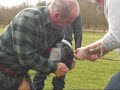 The Longbow Vs A Motorcycle Crash Helmet - Video 21