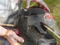 The Longbow Vs A Motorcycle Crash Helmet - Video 21