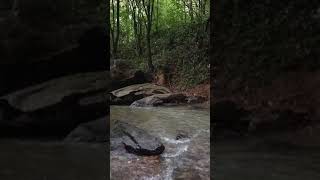 Sending Salawat on Prophet Muhammad (PBUH) near a stream in the forest