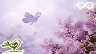 Relaxing Piano Music: Romantic Music, Beautiful Music, Soothing Sleep Music, Relaxing Music ★89
