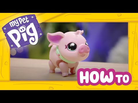 Little Live Pets - My Pet Pig