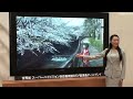 World's First 8K Ultra High Definition Display #DigInfo