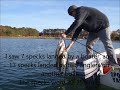 Big Speckled Sea trout in Rudee Inlet - Nov 19, 2011