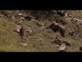 Jesus Declares the Parable of the Lost Sheep