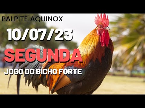 Palpite dia 22/09/2023 - JOGO DO BICHO TODAS AS LOTERIAS 