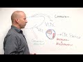 WellnessFX: Lipids And Cardiovascular Disease with Bryan Walsh