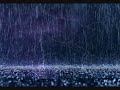 Rain and thunder storm - an hour of relaxing noise for your ears