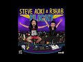 Steve Aoki & R3hab - Flight (Cover Art)