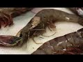 The BP Oil Spill - 3 Years Later