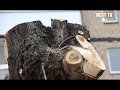 Зеленые насаждения Нефтекамска приводят в порядок