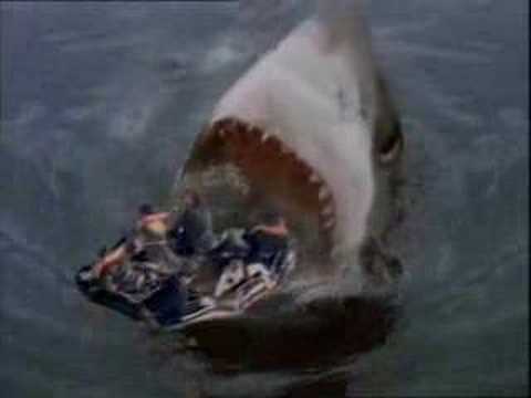 See How Big Shark Eat A Human 104