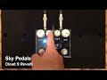 Sky Pedals Cloud 9 Reverb