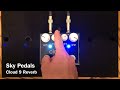 Sky Pedals Cloud 9 Reverb
