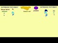 AP2 EXAM 1: INTRINSIC & EXTRINSIC PATHWAYS OF COAGULATION