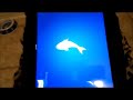 Anakin the Two Legged Kitten Plays Friskies Cat Fishing Game on the iPad
