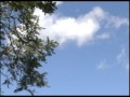 Céu de Brasília pode ser tornar Patrimônio Natural da Humanidade - Repórter Brasil (manhã)