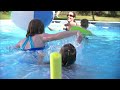 Flippin' Frog Pool Sanitizer
