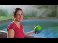 Flippin' Frog Pool Sanitizer