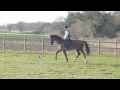 Meet the team (Spotty and Boo)