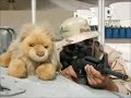 Best of Military Humor/Pranks