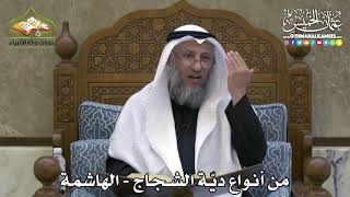 2304 - من أنواع ديّة الشجاج - الهاشمة - عثمان الخميس