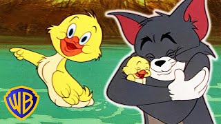 Tom & Jerry | Best Of Little Quacker | Classic Cartoon Compilation | WB Kids