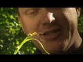 Ray Mears' Extreme Survival S03E03 - Alaska