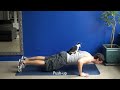 How to exercise with your cats!