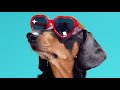 TIEKS - Sunshine feat. Dan Harkna Official Video