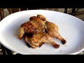 Benefits of Kamado Style Ceramic Grills - Kamado Joe, Big Green Egg, Primo , Grill Dome