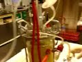 Demo for Benchtop Bioreactor Sampling