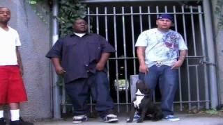 Blue Line Kennels (feat Bad Lucc, Pro Luciano & Problem)