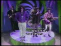 The Turtles- You Showed Me