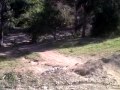 xavi malamaña con su burra